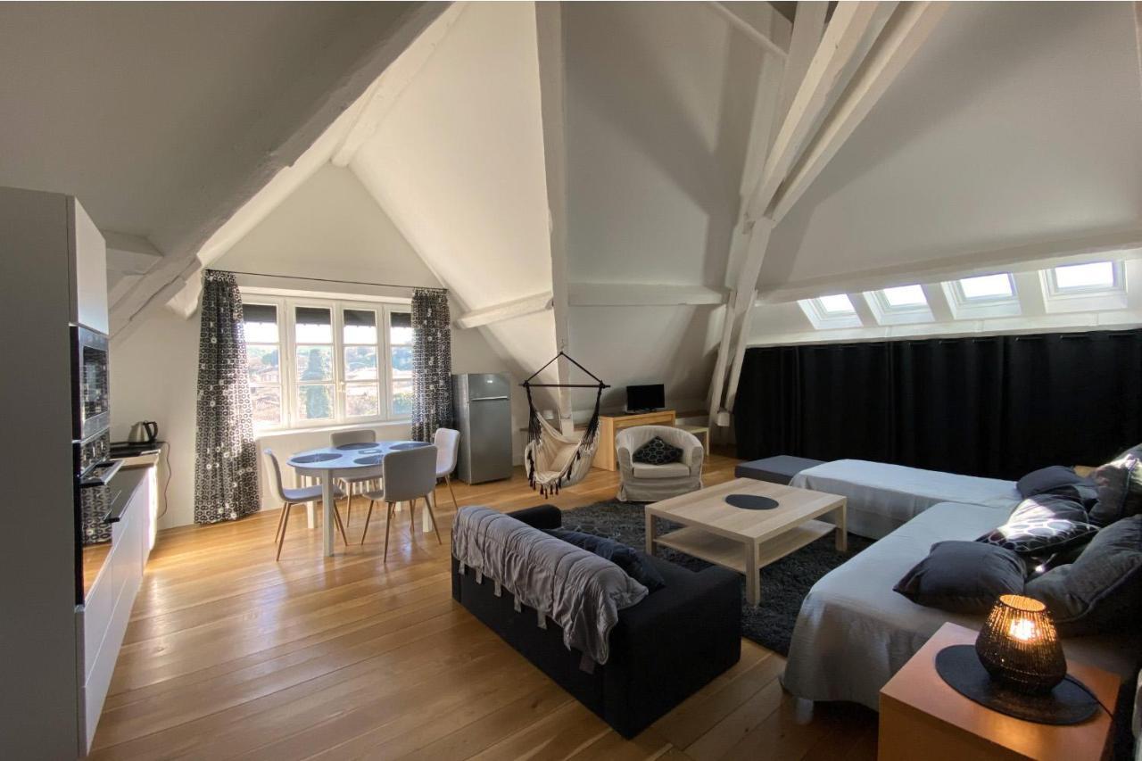 Demeure Saint Louis Historic Manor, City 700M, Parking,A C,Clim,Wifi, Heated Pool, City View Каркассонн Екстер'єр фото