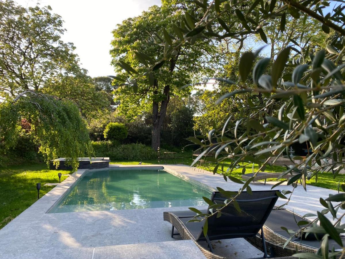 Demeure Saint Louis Historic Manor, City 700M, Parking,A C,Clim,Wifi, Heated Pool, City View Каркассонн Екстер'єр фото
